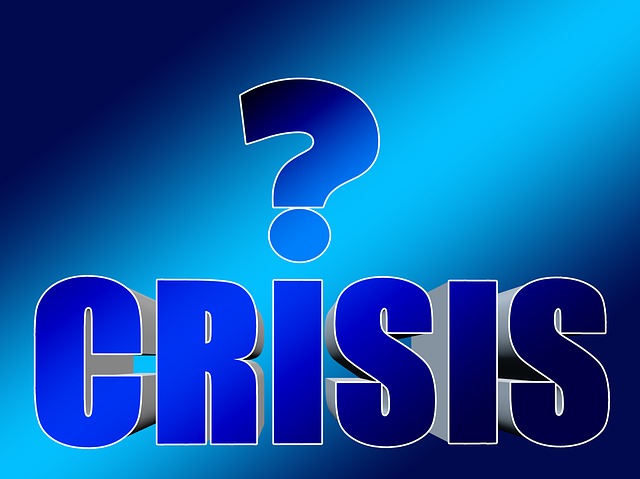 What Happens to Family Firms’ Entrepreneurial Behavior After a Major Crisis?