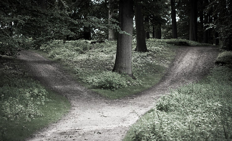 Road forks in the woods