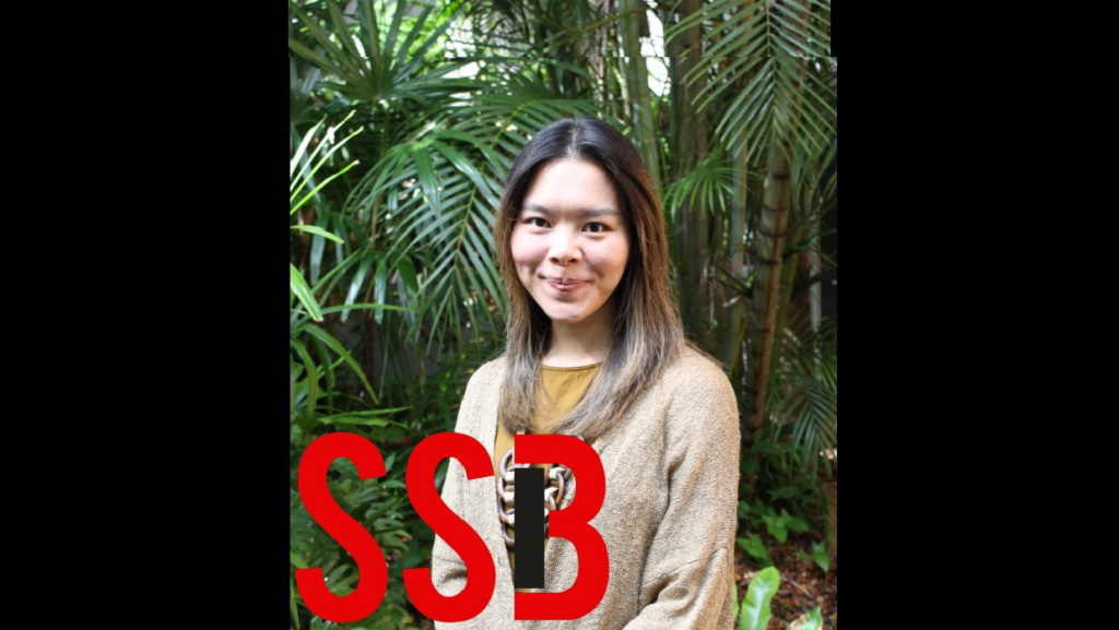 Crystal Abidin on Influencers