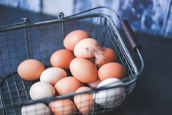 All Eggs in a Few Baskets Doesn’t Work for Universities, Either