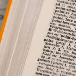 The Future of English Studies in the United Kingdom