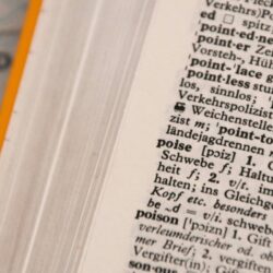 The Future of English Studies in the United Kingdom