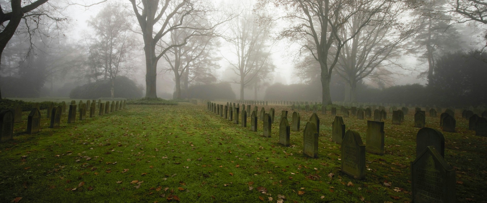 Fog descends on rows of headstones