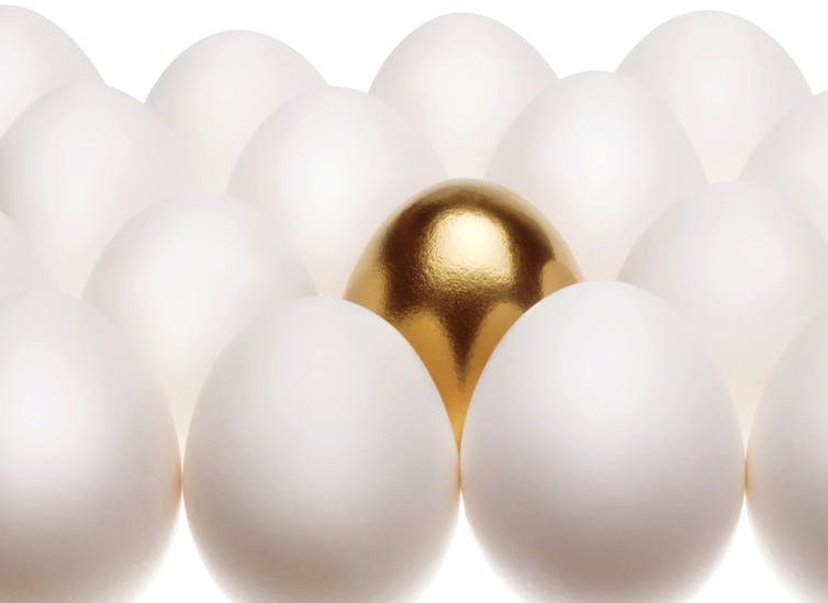 golden egg amid regular eggs