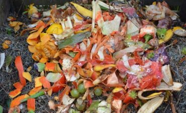 Food waste thrown out with greenwaste