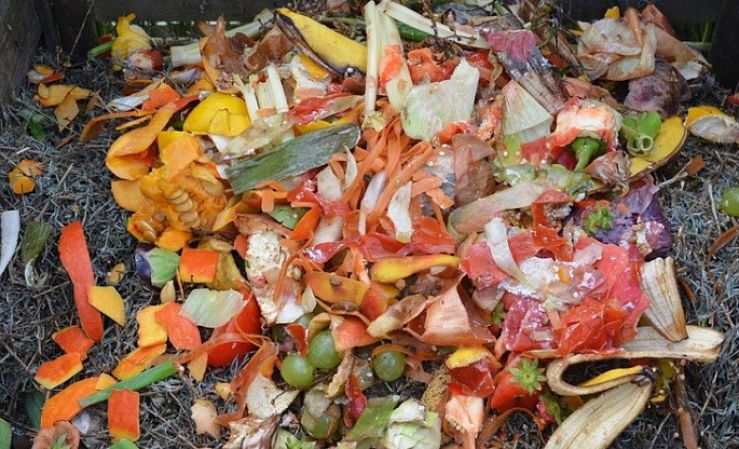 Food waste tossed out as greenwaste