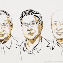 We See Economic Growth Differently Thanks to the 2025 Nobelists in Economics