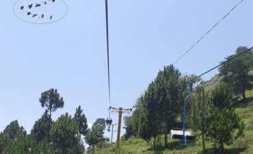V-shaped flight of geese overfly chairlift