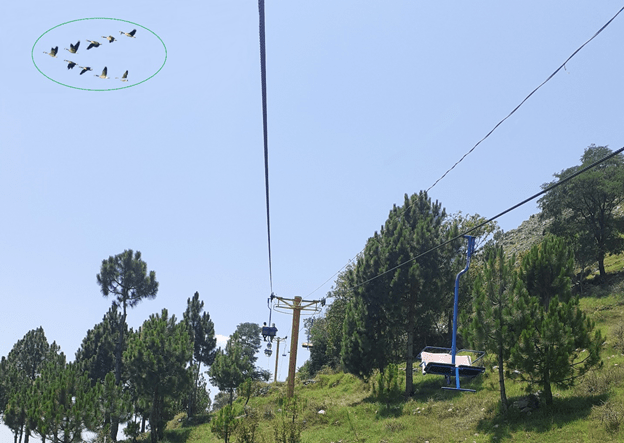 V-shaped flock of geese overfly chairlift
