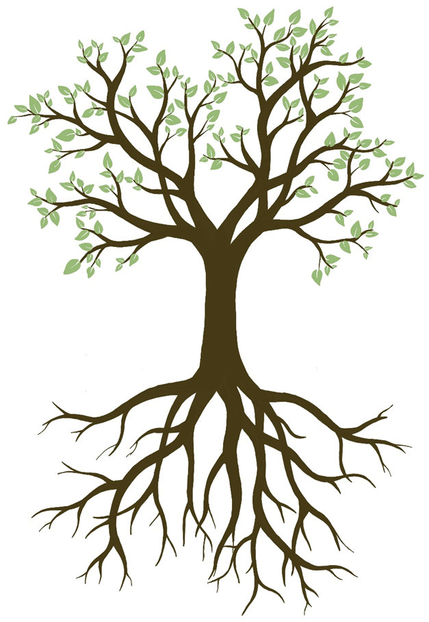 Drawing of tree on plain background and showing branches, leaves and roots