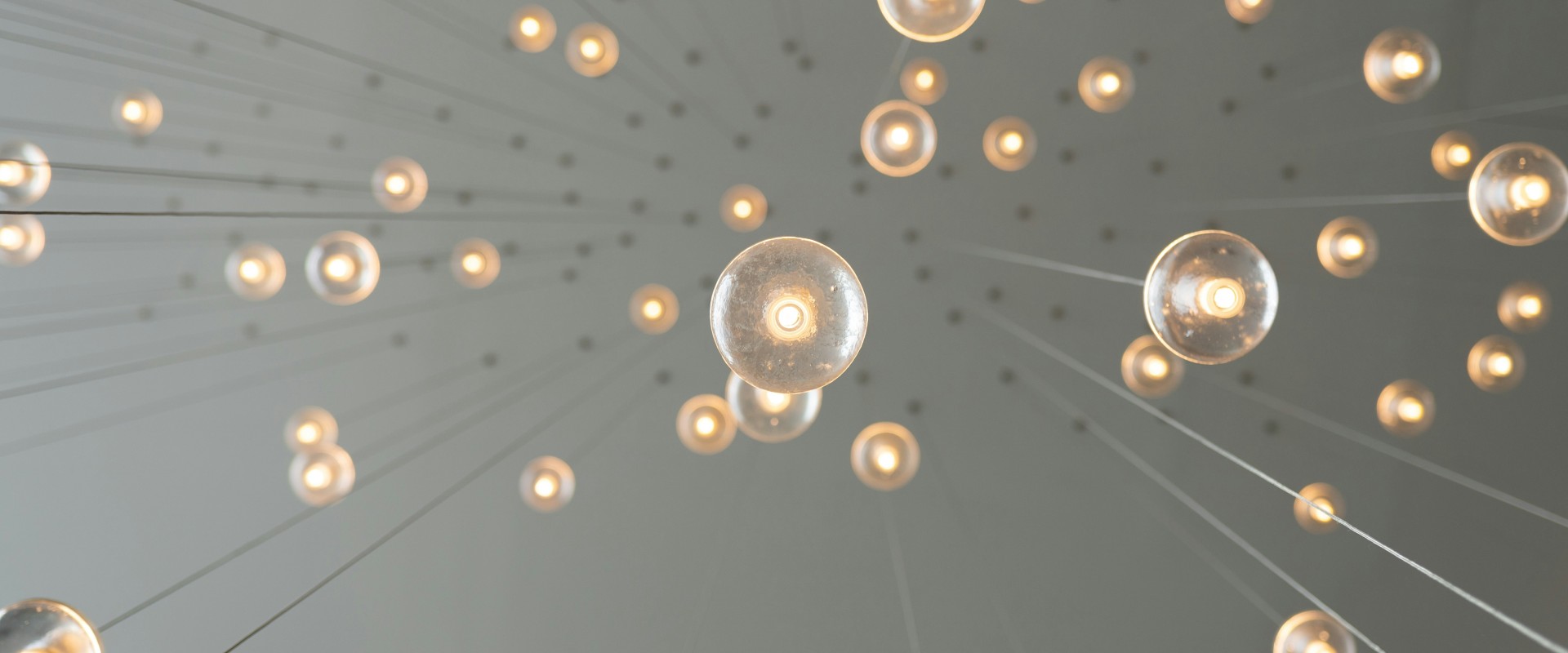 We See Economic Growth Differently Thanks to the 2025 Nobelists in Economics