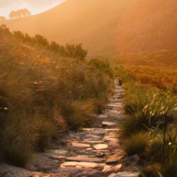 Measuring What Matters: Why Academic Pathways Need Shared Evidence, Not Just Good Intentions 