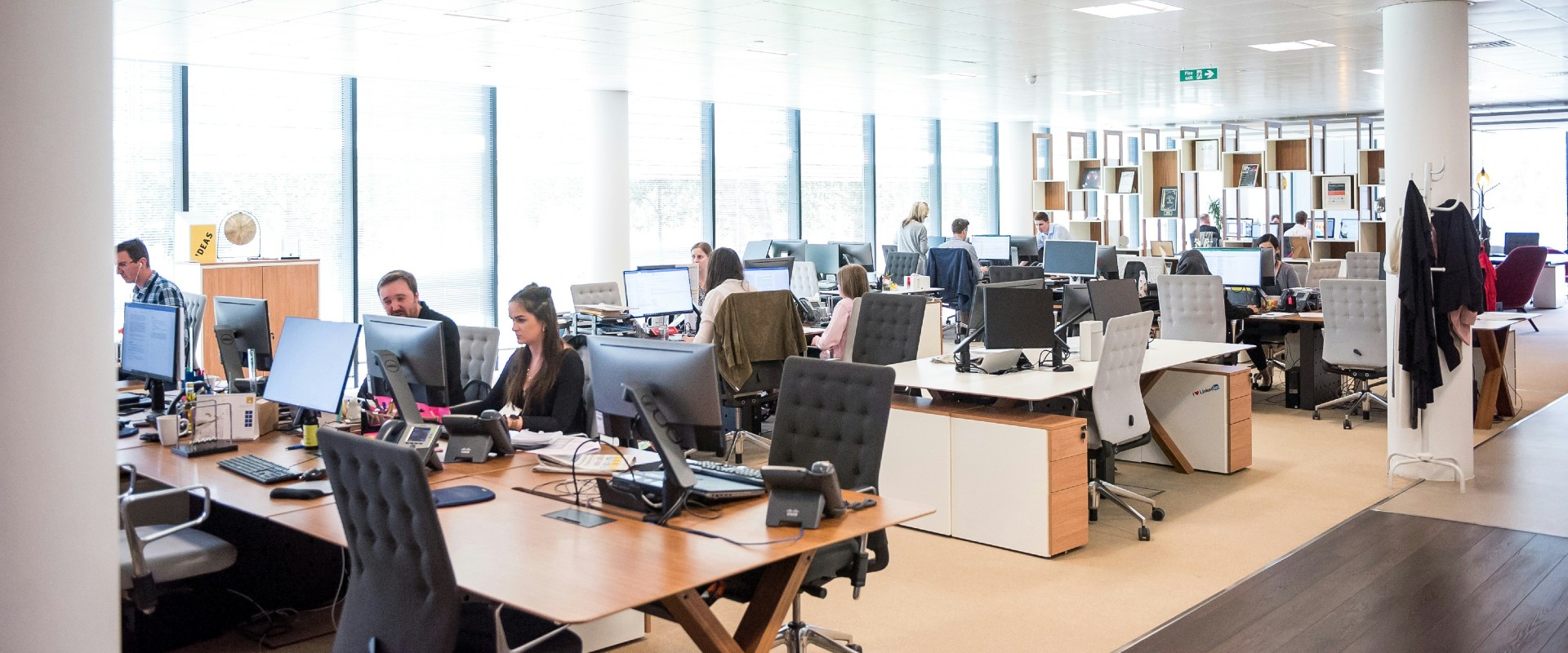 office workers next to big windows and working on large wooden tables