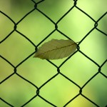 How Science Can Adapt to a New Normal