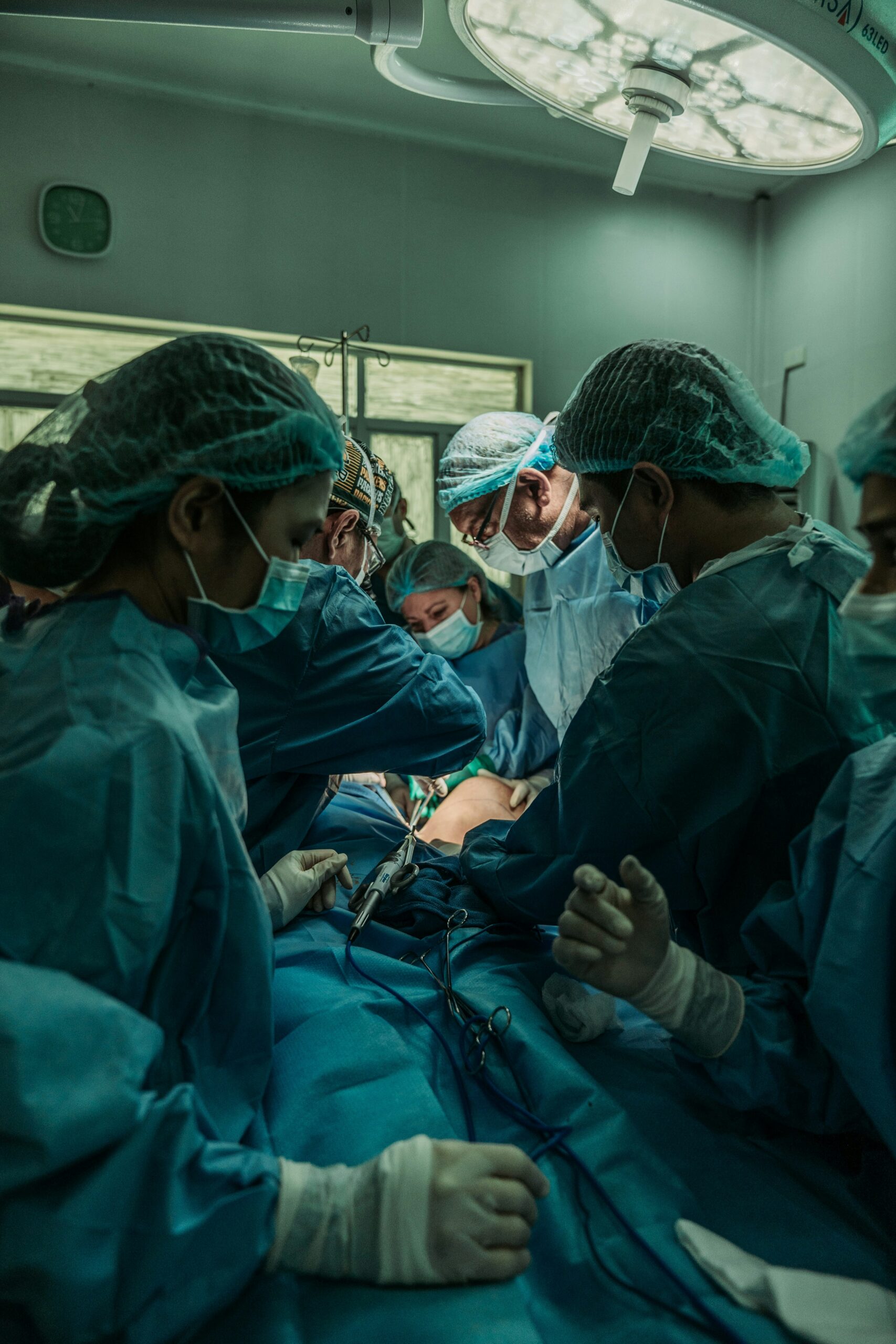 The Mystery of Xenotransplantation for Social Sciences