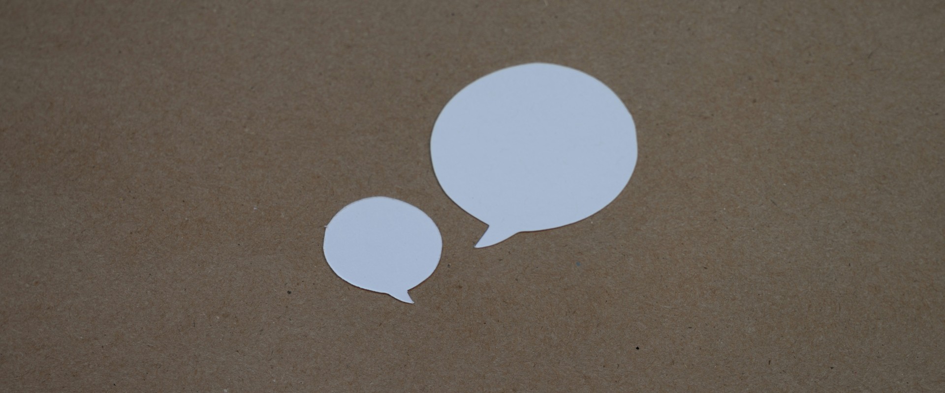 Quick Insight: Roz Tedford on Research, Tenure, and Censorship  