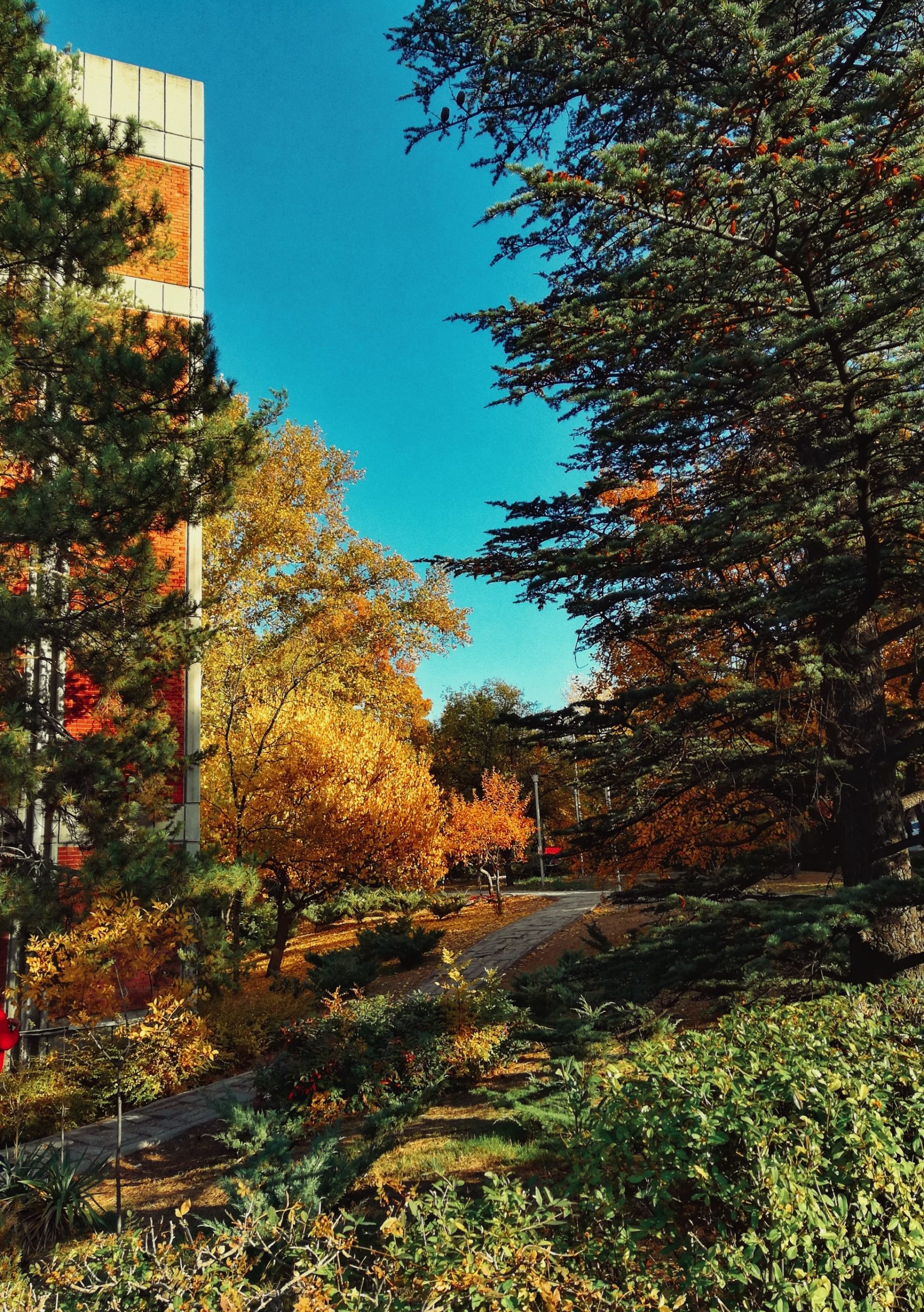 Online Teaching, Campus Design Upgrades and Institutional Changes