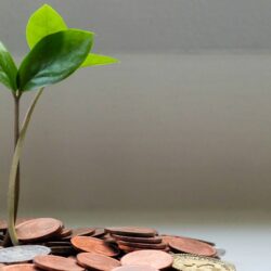 Endowments and the Next New Deal: Thinking Bigger and More Creatively 