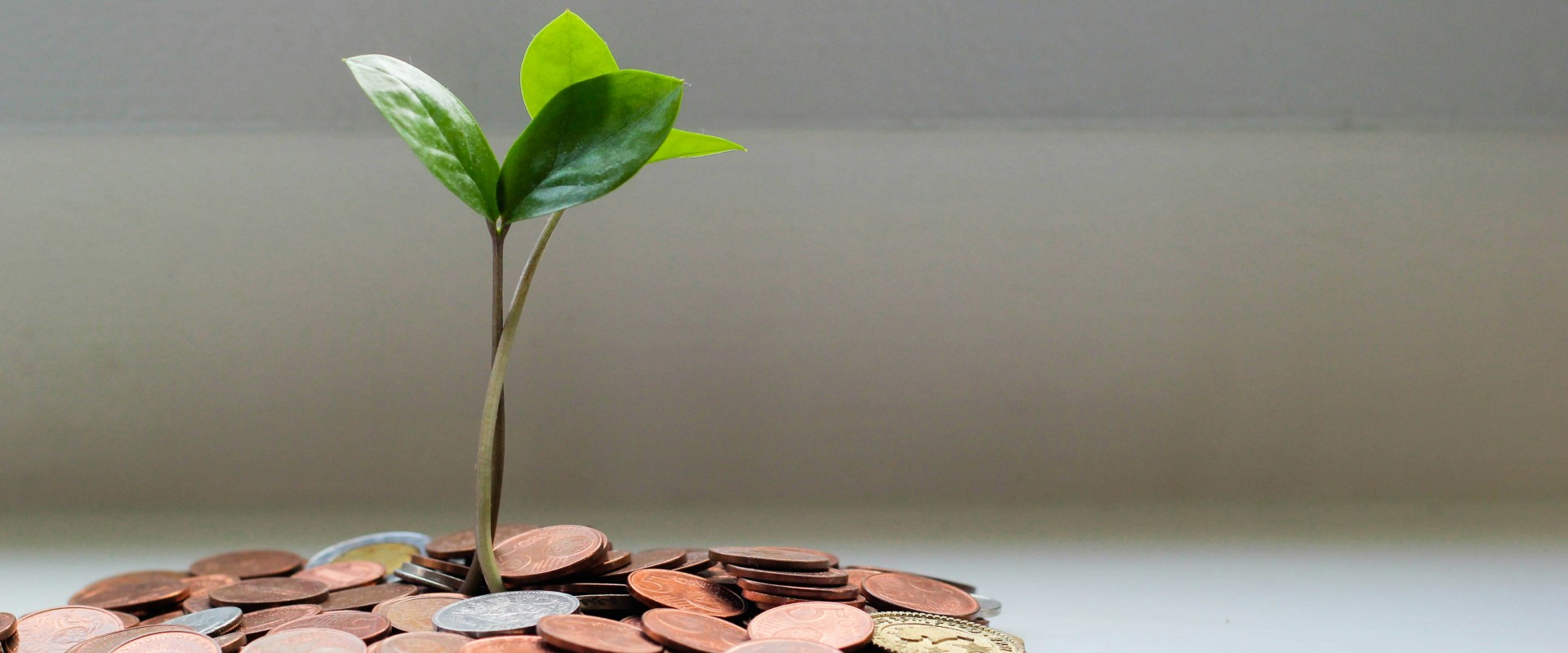 Endowments and the Next New Deal: Thinking Bigger and More Creatively 