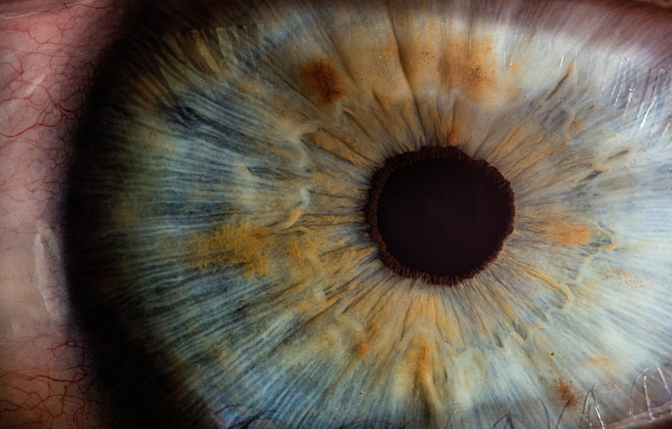 Close up of human eye.