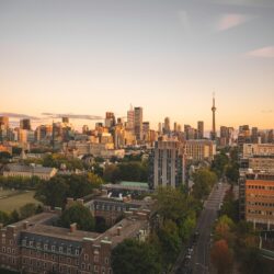 Universities Should Reimagine Governance Along Co-Operative Lines